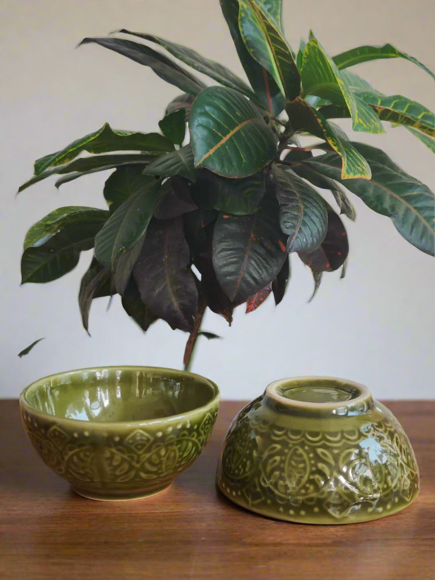 Set of 2 Verdant Bloom Bowl