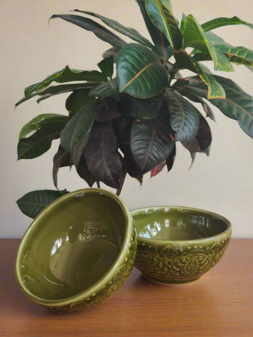 Set of 2 Verdant Bloom Bowl