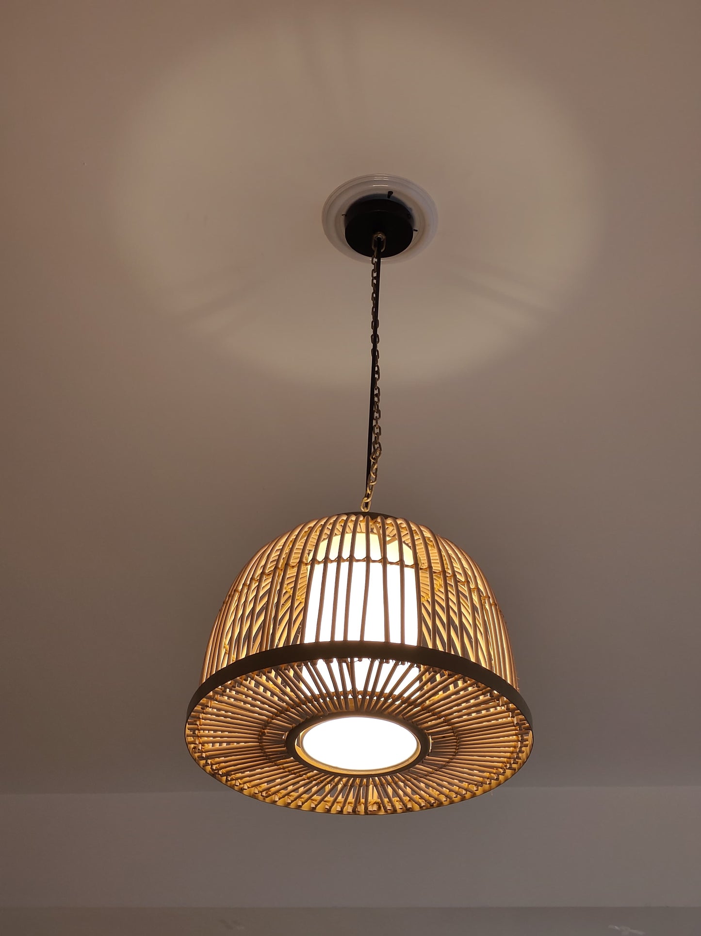 Dome Rattan Pendant Light