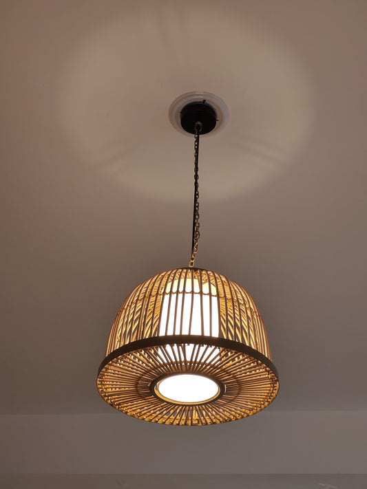 Dome Rattan Pendant Light