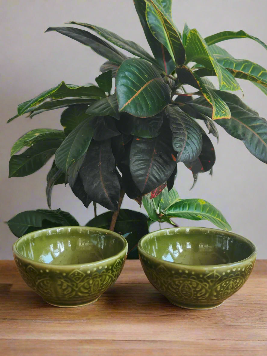 Set of 2 Verdant Bloom Bowl