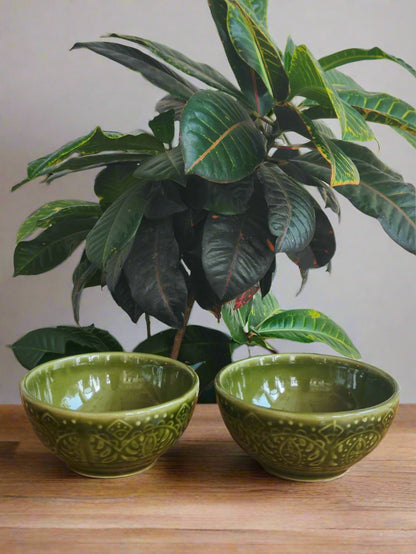 Set of 2 Verdant Bloom Bowl