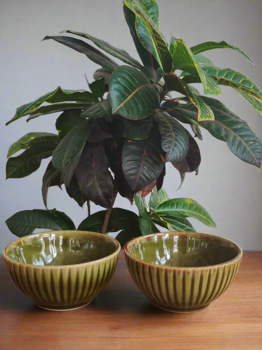 Set of 2 Olive Ridge Bowl