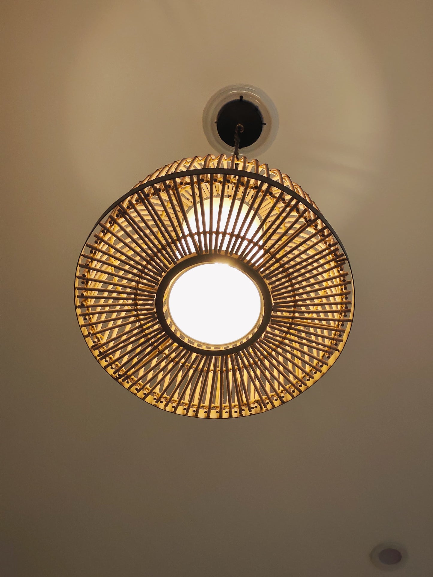 Dome Rattan Pendant Light