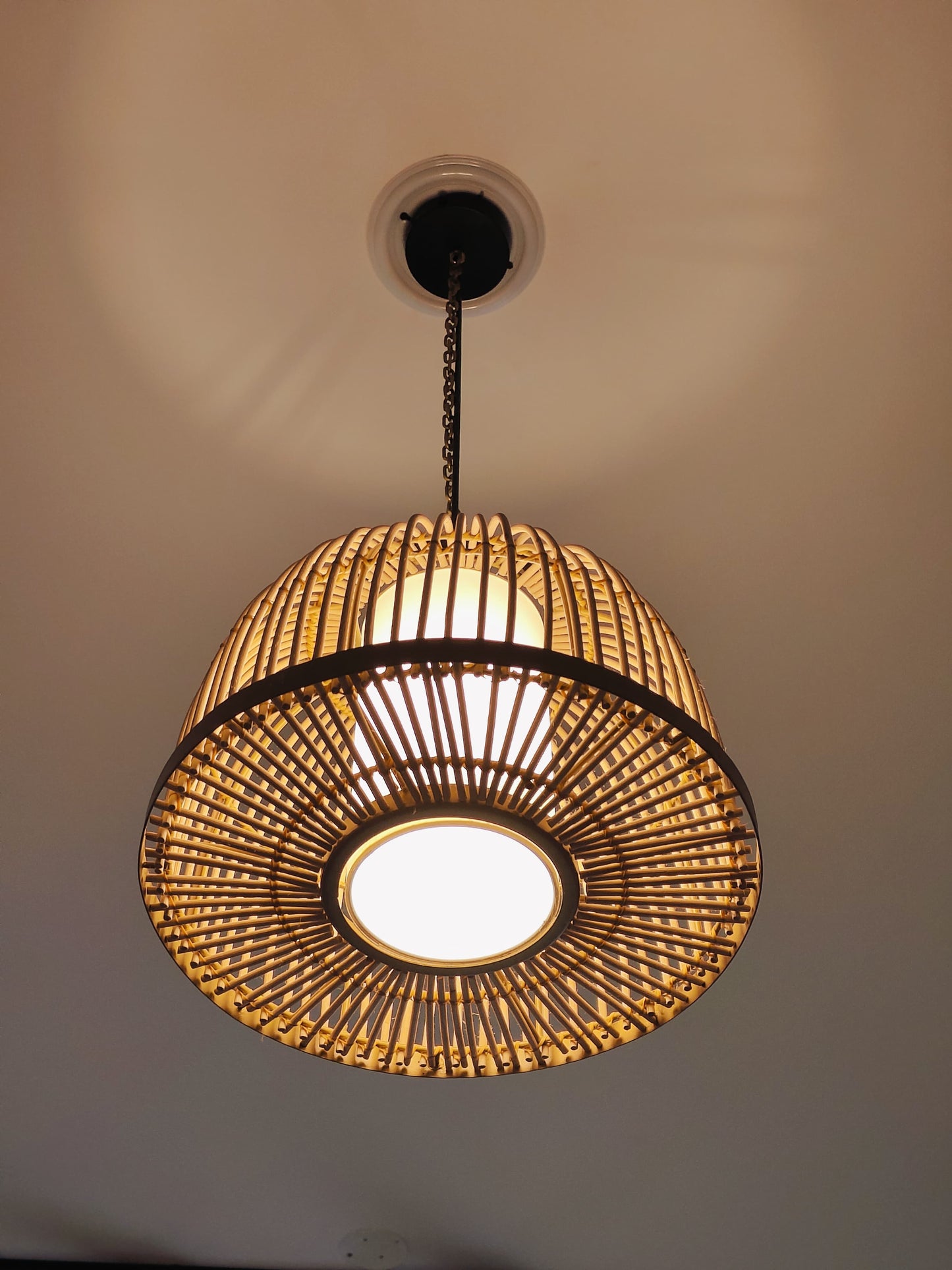 Dome Rattan Pendant Light