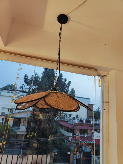 Petal Rattan Pendant Light