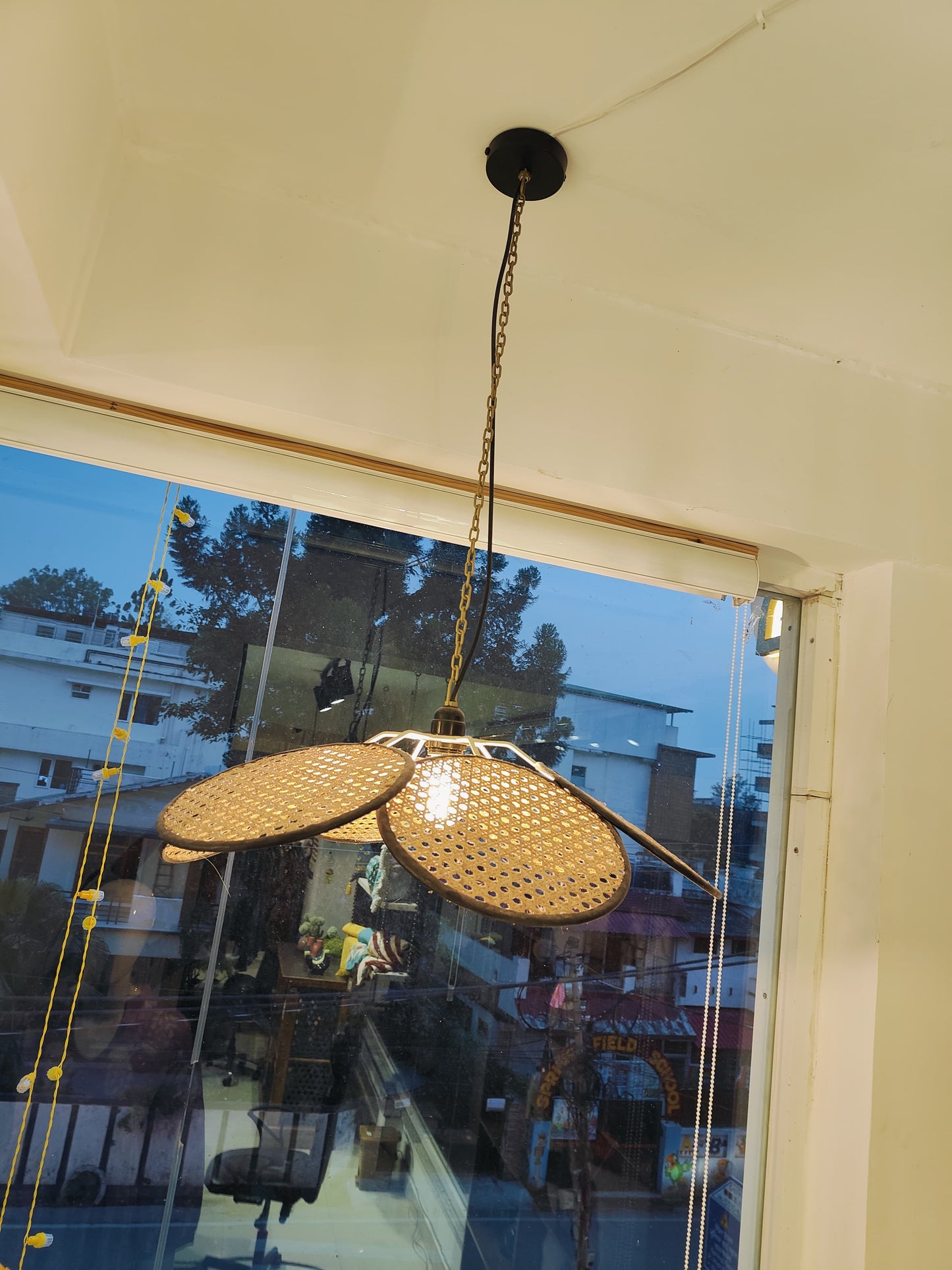 Petal Rattan Pendant Light