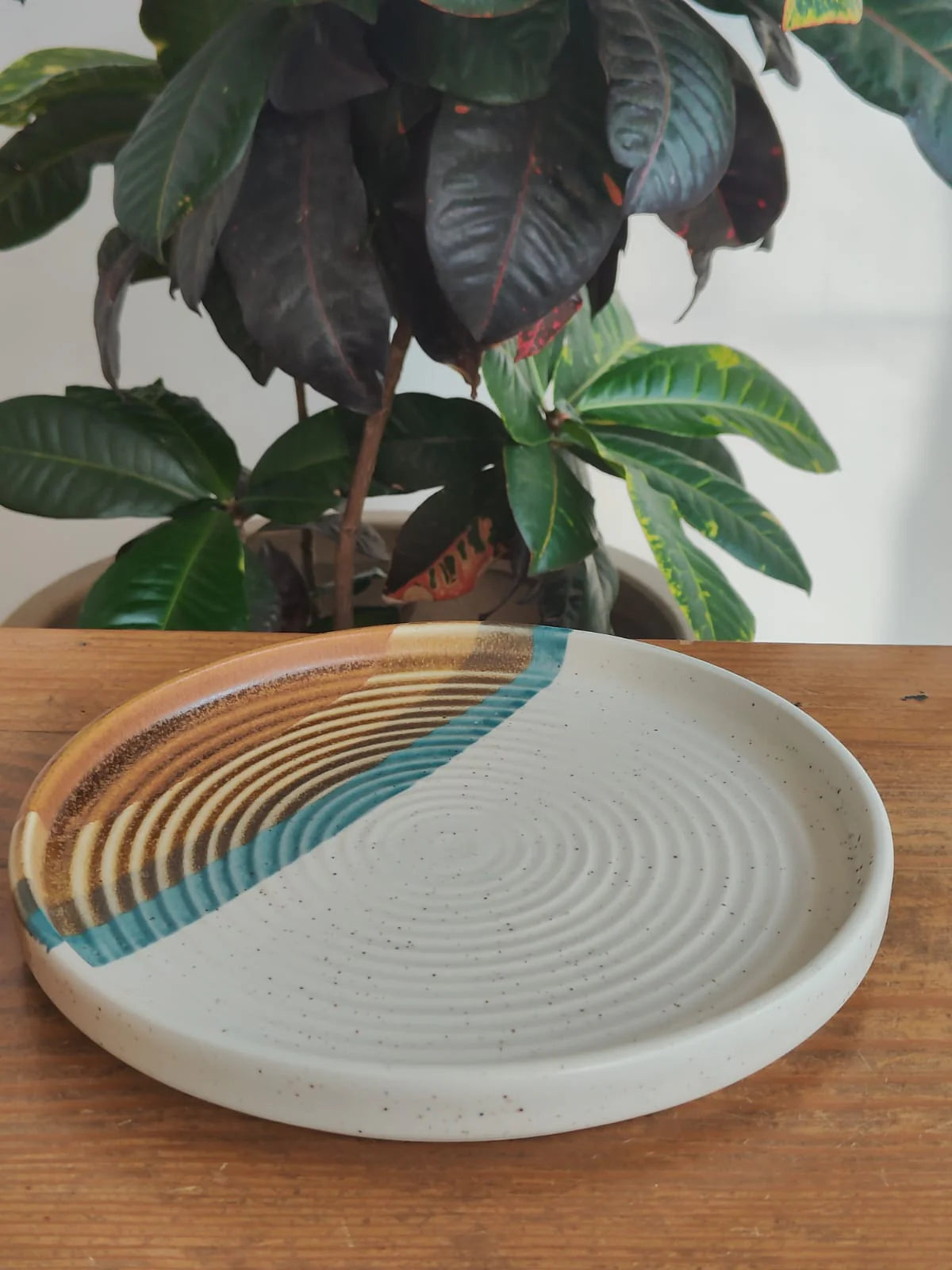Earth & Ocean Spiral Ceramic Plate