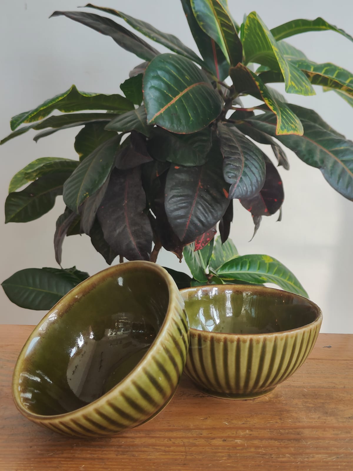Set of 2 Olive Ridge Bowl