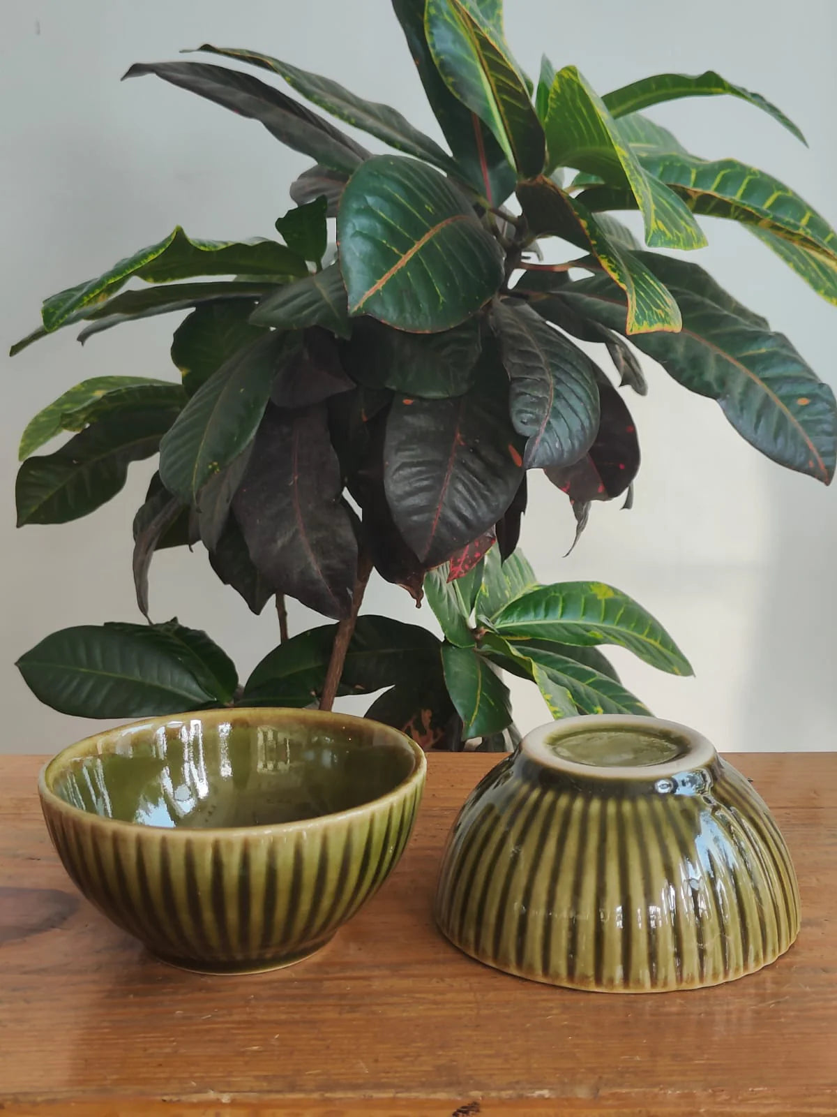 Set of 2 Olive Ridge Bowl