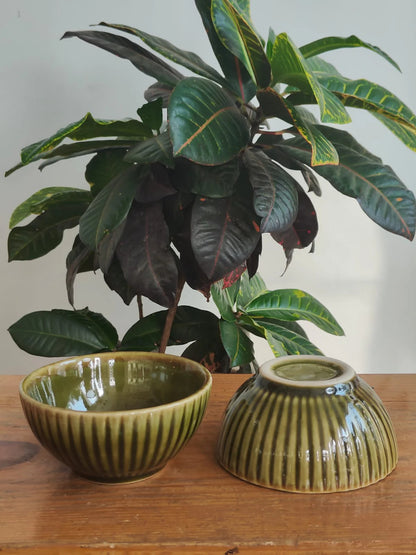 Set of 2 Olive Ridge Bowl
