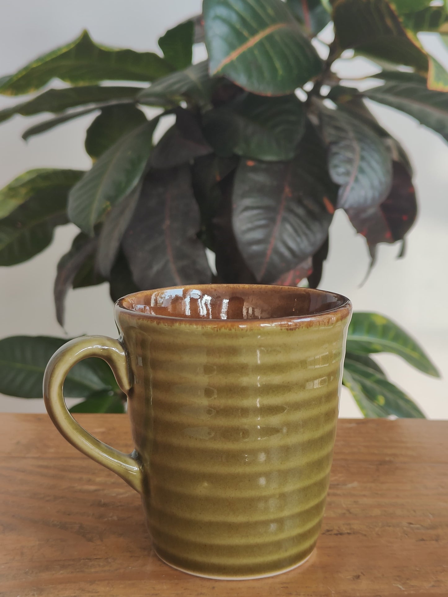 Olive Ridge Mug